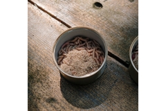 Mealworms on a plate.